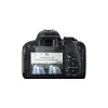 محافظ صفحه نمایش دوربین کانن 800D
